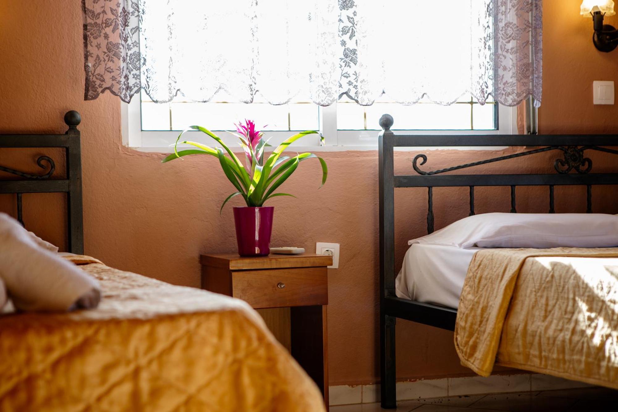 Xenia Palace Luxury Apartments Vrasná 외부 사진